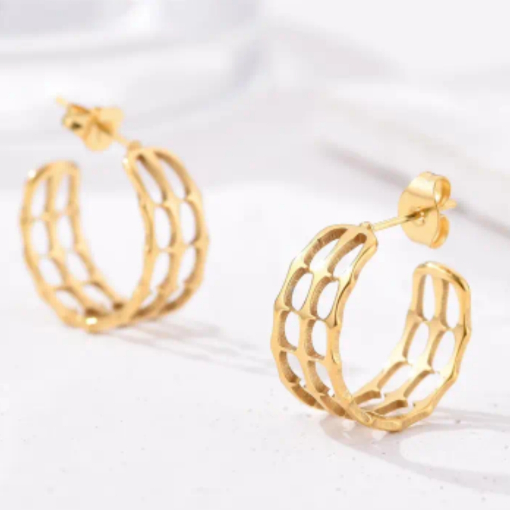 18 Kt Gold Over Titanium Earrings